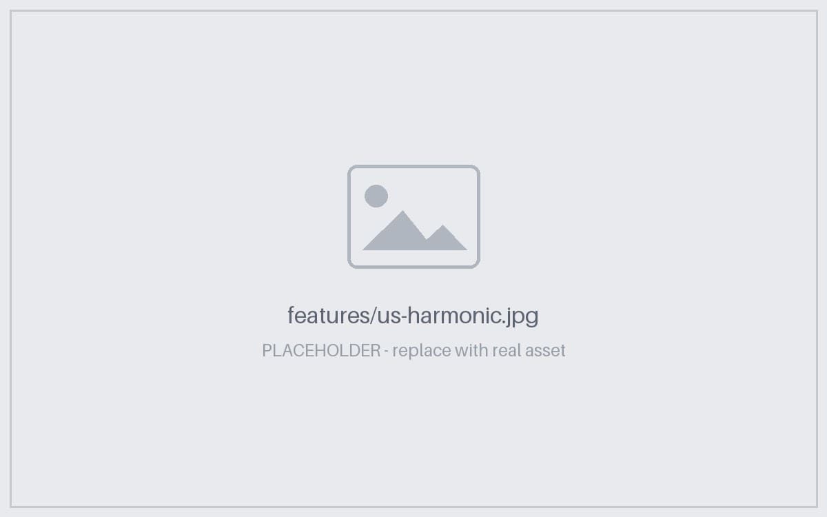 Tissue Harmonic View